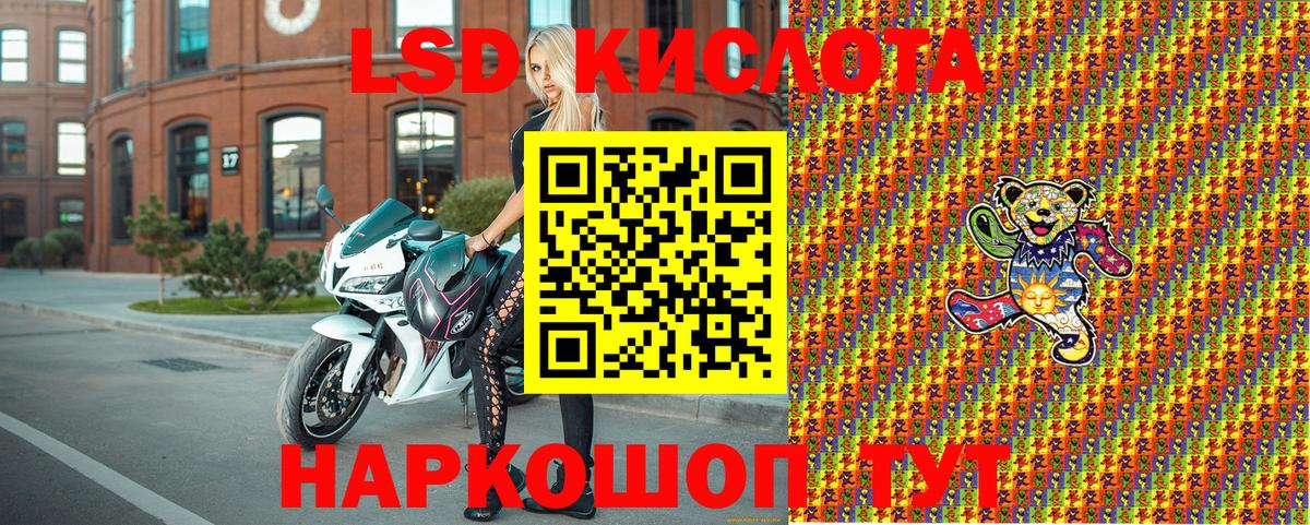 Наркотические марки 1500мкг Елец