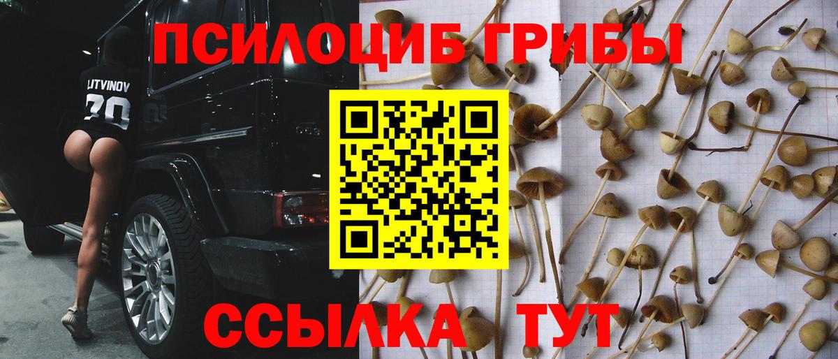 Елец  Галлюциногенные грибы MAGIC MUSHROOMS  Вход с VPN  Псилоцибиновые грибы MAGIC MUSHROOMS 